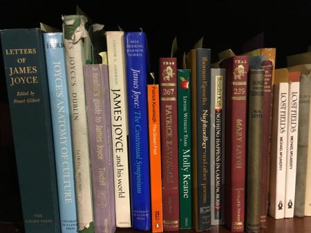 Shelf of largely Joyce books.