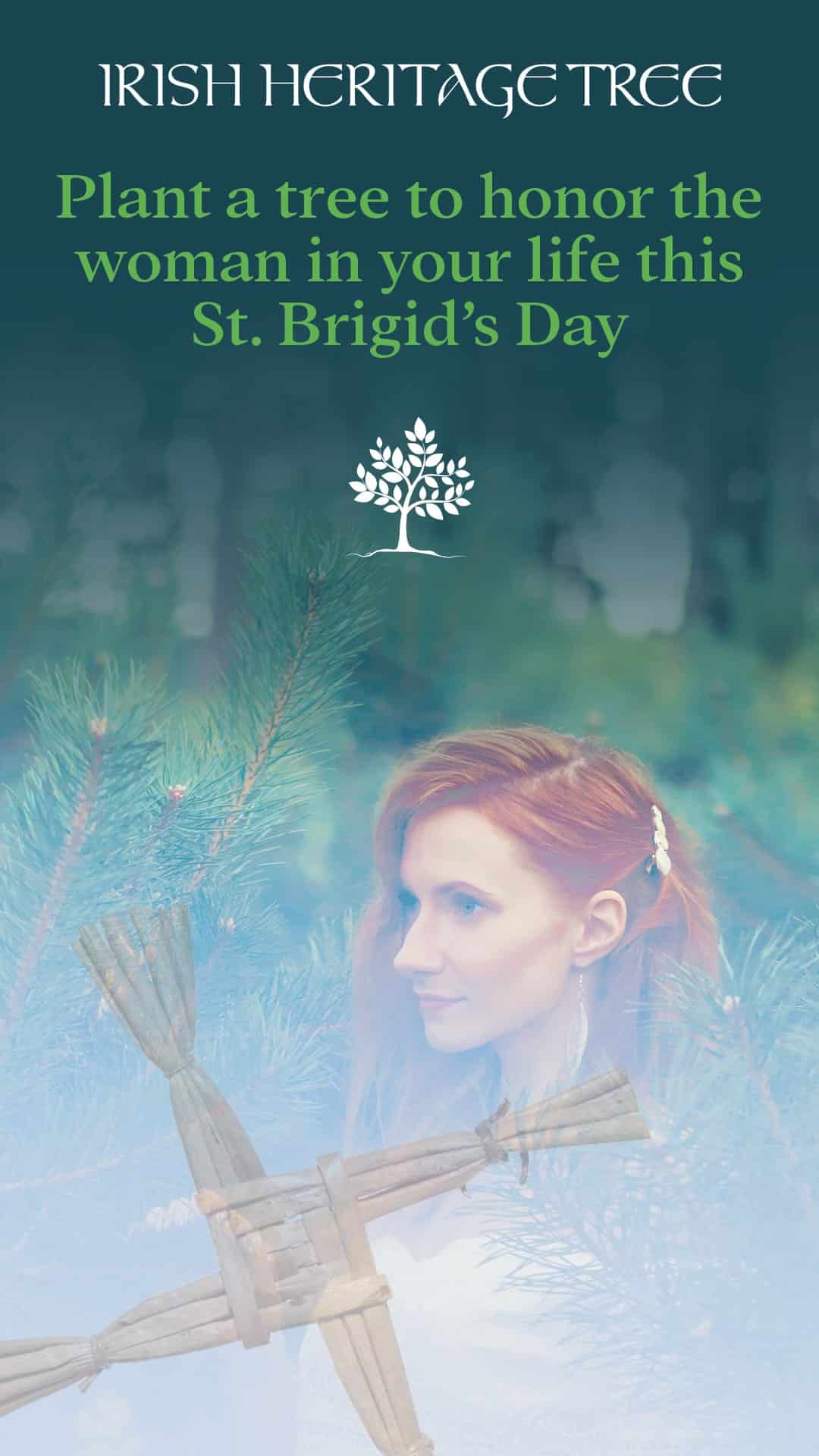 Irish Heritage Tree - St. Brigid's Day